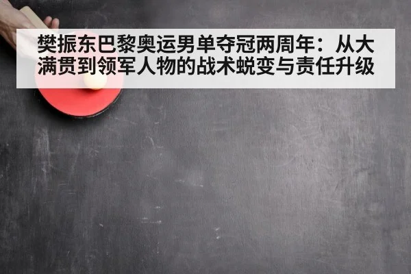 樊振东巴黎奥运男单夺冠两周年:从大满贯到领军人物的战术蜕变与责任升级